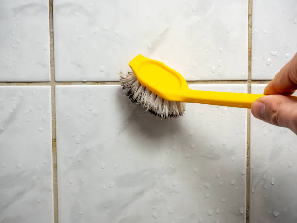 Best Mold Testing  in Dillonvale, OH