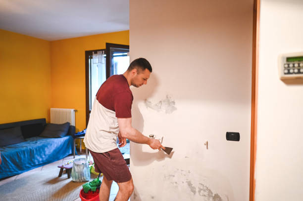 Best Affordable Mold Removal  in Dillonvale, OH